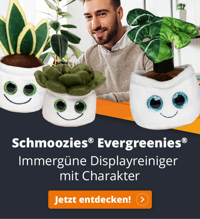 Evergreenies Displayreiniger