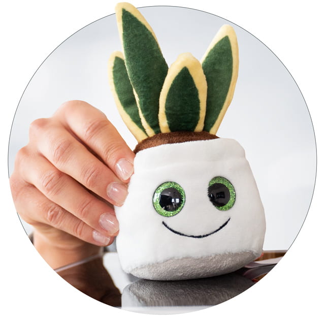 Icon Displayreiniger